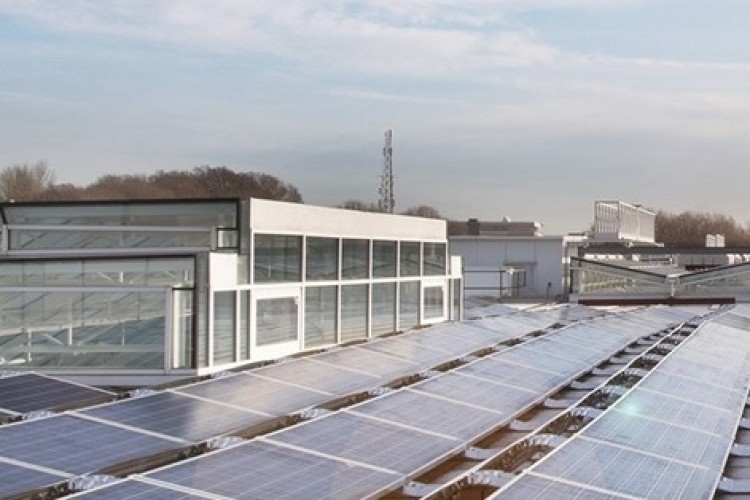 Conergy, already big in solar farms, is now targeting roof tops