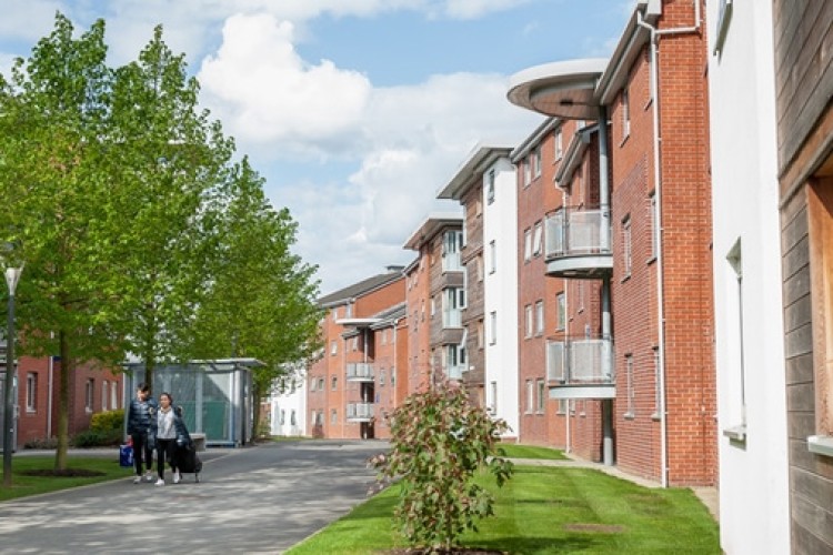 University of Surrey is looking to build more student rooms