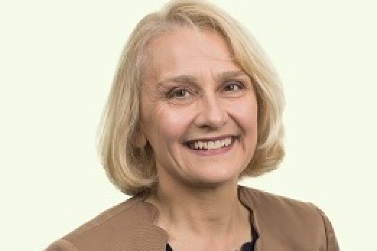 Sally Cabrini