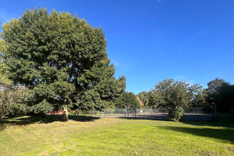 Rushgrove Park at Brent Cross, where Barhale will design and construct a new offline foul storage attenuation system