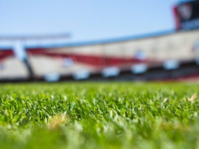 The Race to Government Support for the Sports Industry; Are You In?