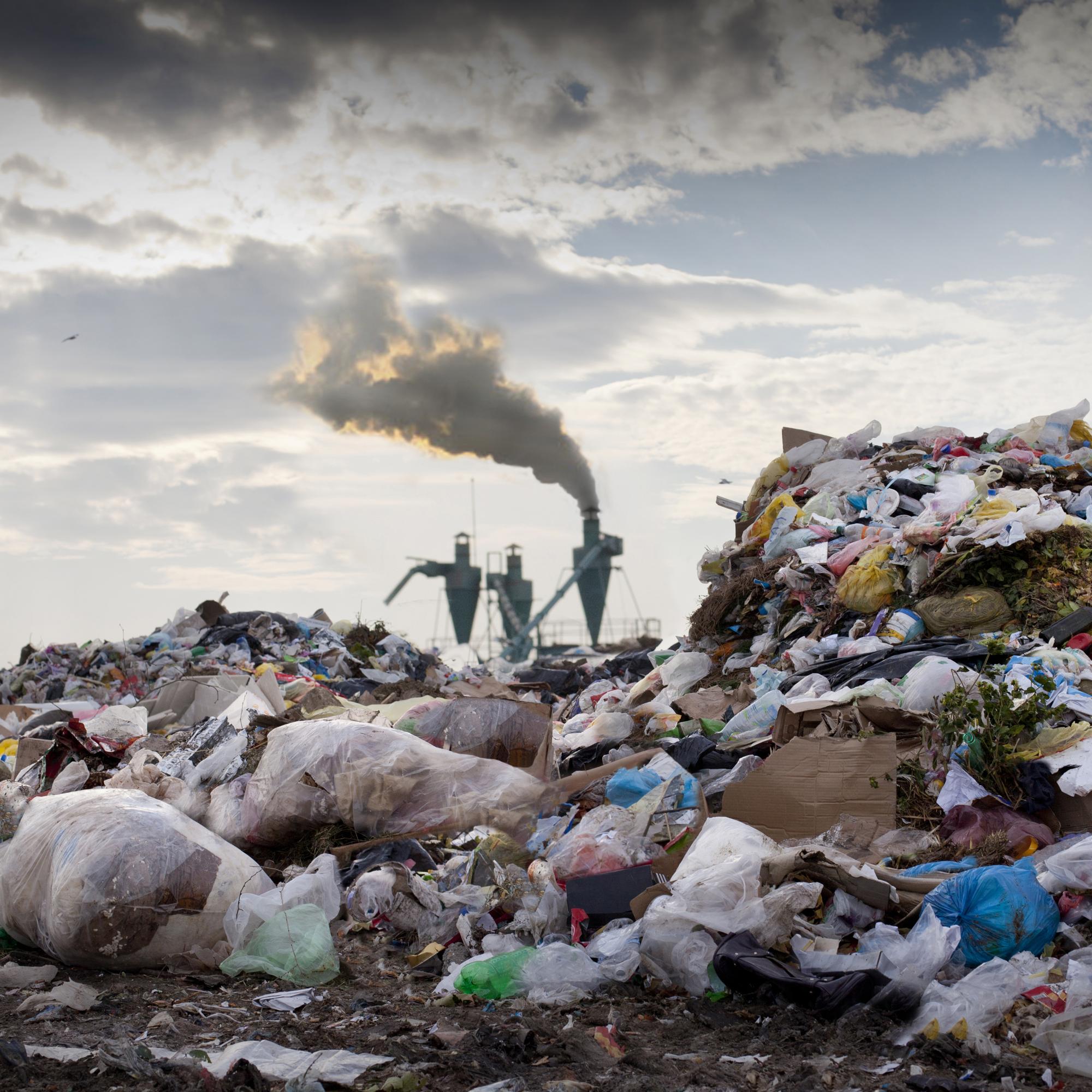 Проблемы отходов в россии. Загрязнение экологии.