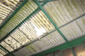 Sole trader in the dock for worker’s roof fall