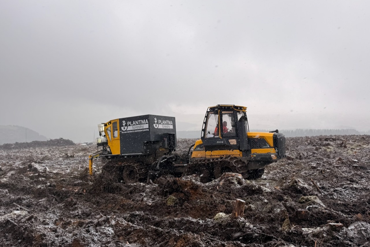 Tilhill automates tree planting