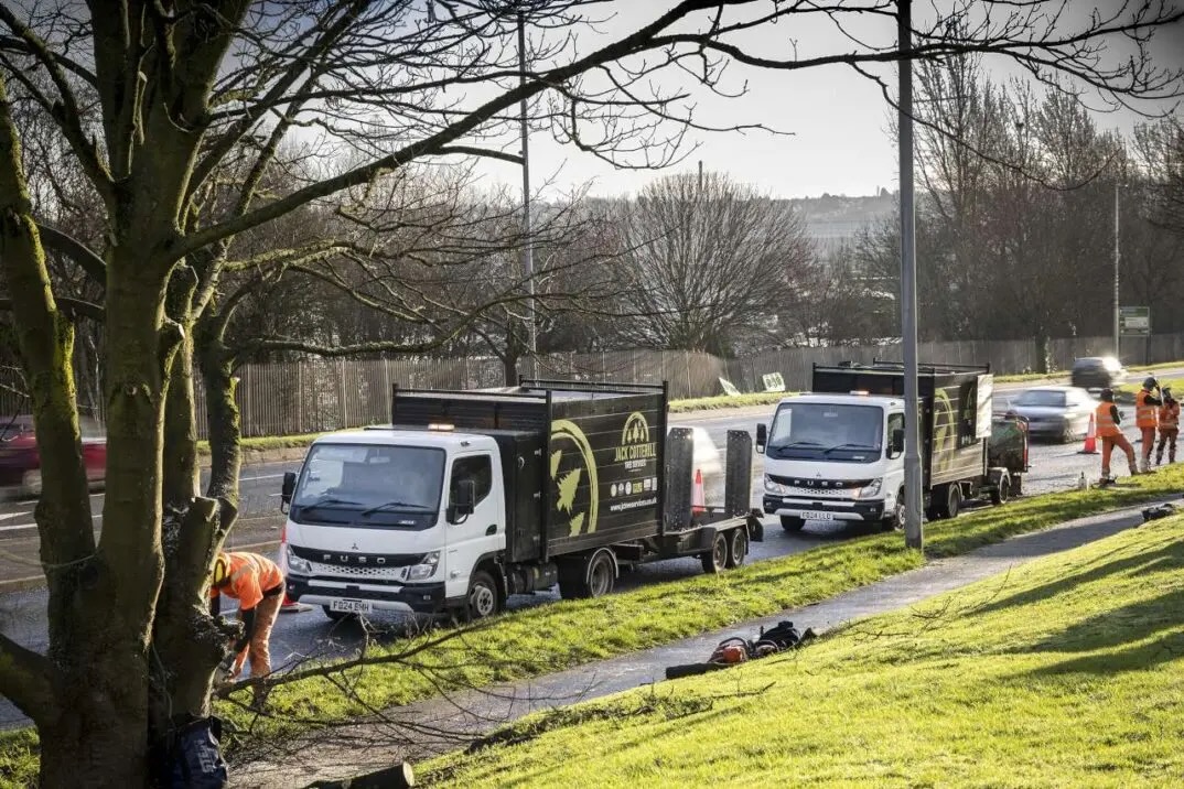 Tree surgeon picks FUSO Canter