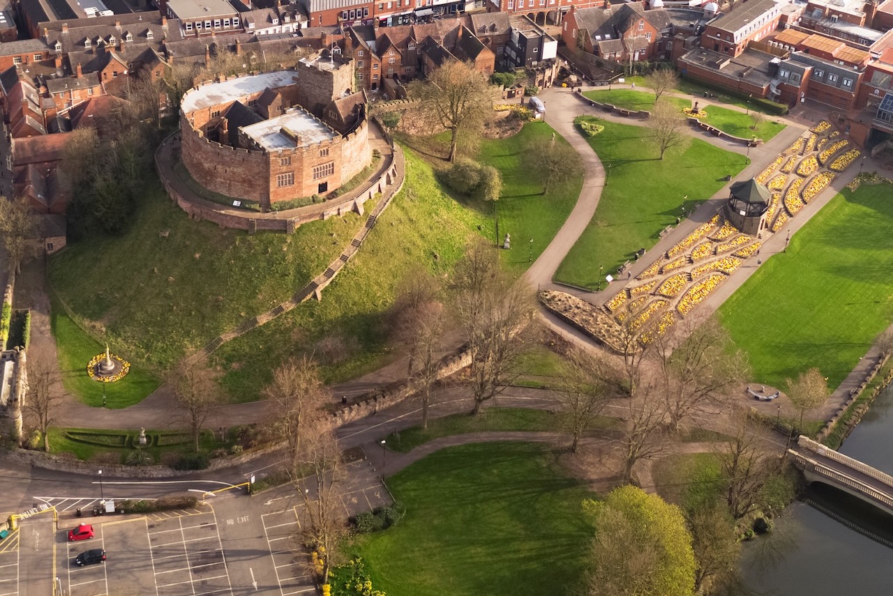 A historic win for Pulse Consult