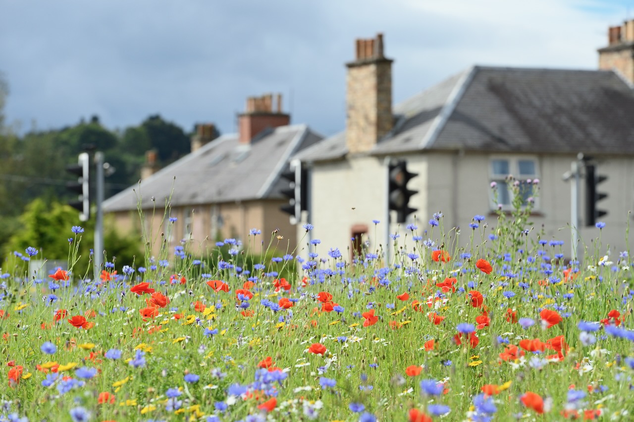 NatureScot consults on biodiversity metric