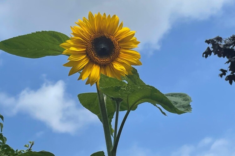 Was there too much sun to get any work done?