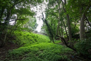 The infilled bridge looks out onto cutting slopes protected by tree preservation orders [Credit: The HRE Group]