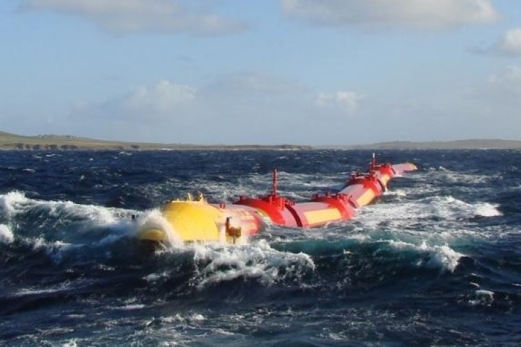 A Pelamis generator at sea