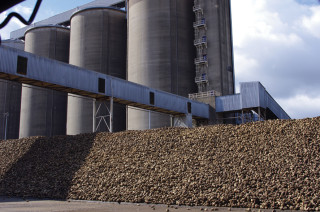 British Sugar buys around 7.5 million tonnes of sugar beet every year from British farmers.