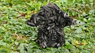 biochar