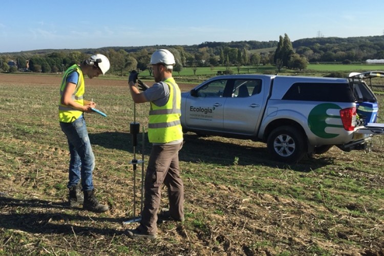 Ecologia provides contaminated land consultancy services