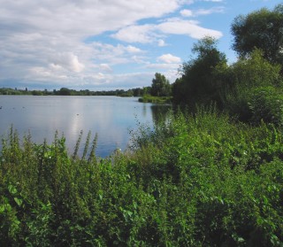 A proposed viaduct cuts through the Broadwater Lake nature reserve in Hertfordshire [Photo © Tim Hill]