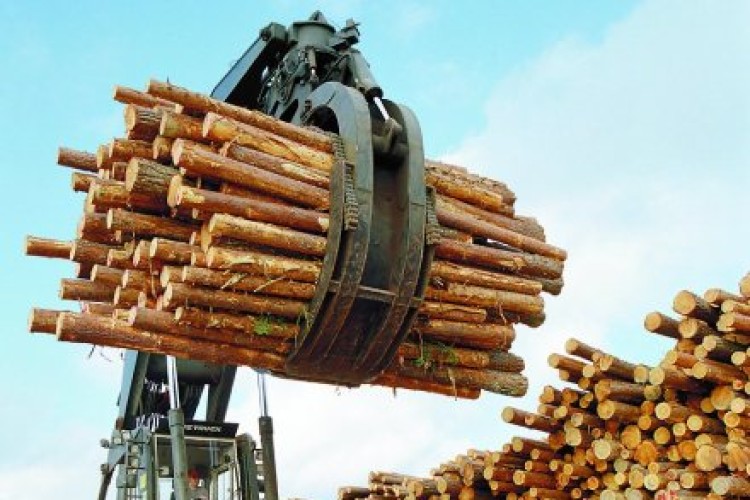 Not enough timber is being harvested to meet world demand