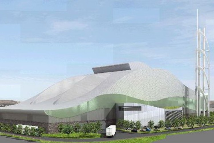 Artist's impression of the plant