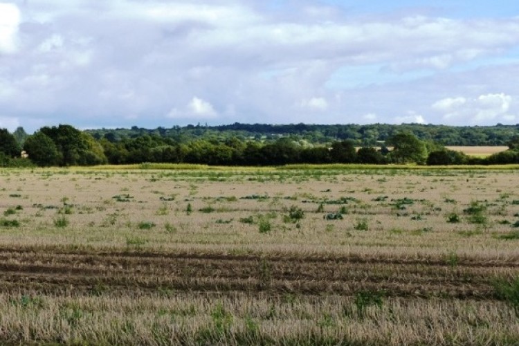 Essex farmland to be developed