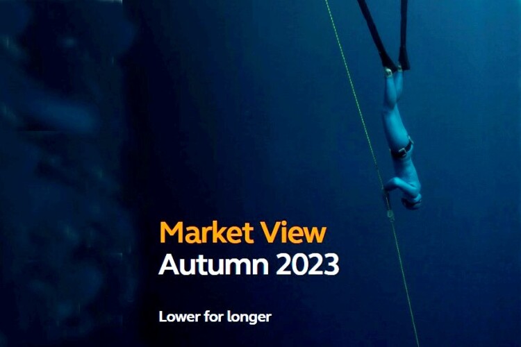 Arcadis' Market View report for autumn 2023 is titled 'Lower for Longer'