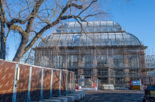 Scaffolding gives full access to the palm house