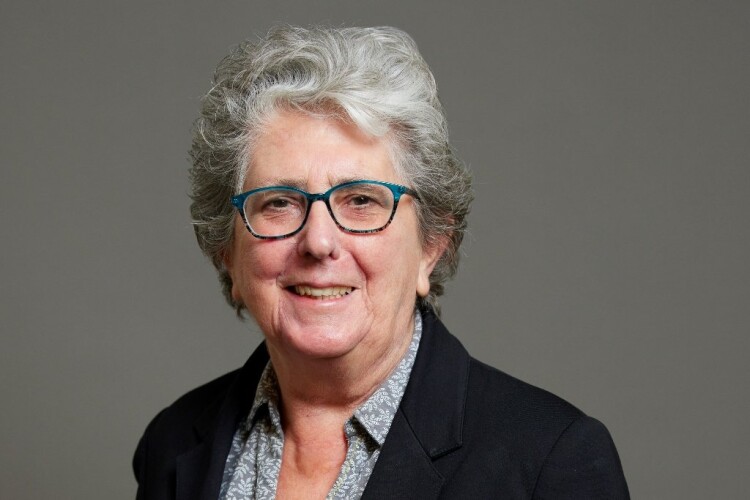 Lib Dem peer and Kirklees councillor Kath Pinnock tried and failed to kill the infrastructure levy 