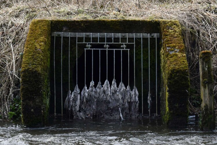 Sewage is discharged into rivers across the UK on a daily basis. (Photo from The Rivers Trust.)