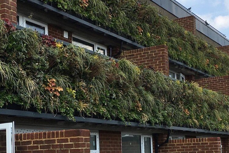 Projhects by Eco Green Roofs include living walls