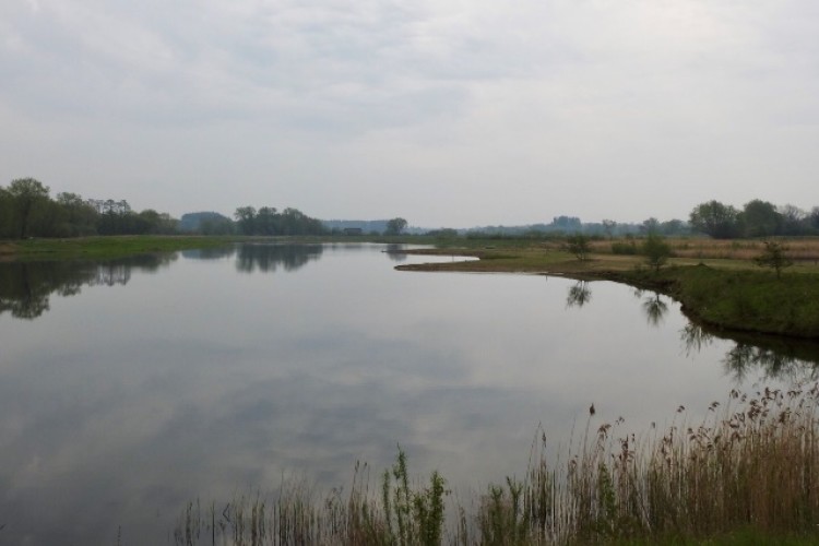 Ripon City Wetlands