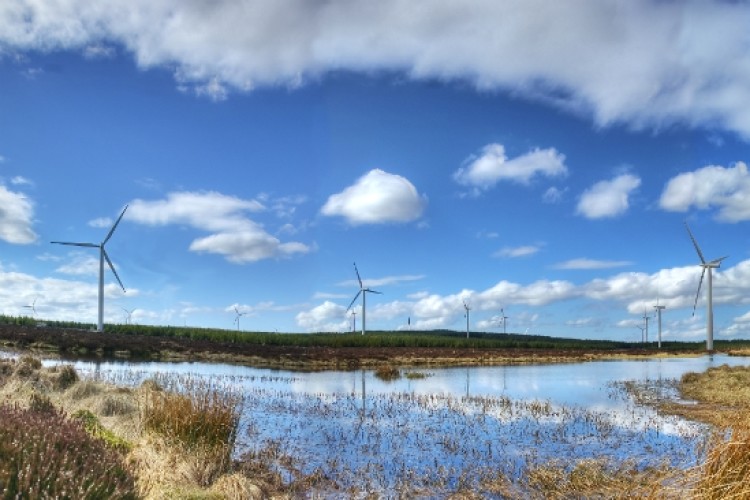 Whitelee wind farm