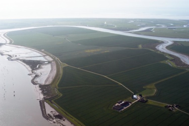 Wallasea Island