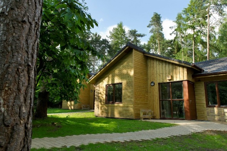 A Center Parcs Woodland lodge