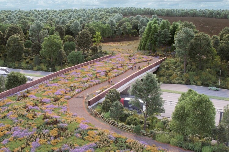 Cockcrow footbridge will have a 25-metre wide strip of vegetation