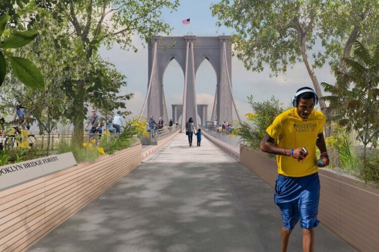 'Brooklyn Bridge Forest' won the professional category of the competition