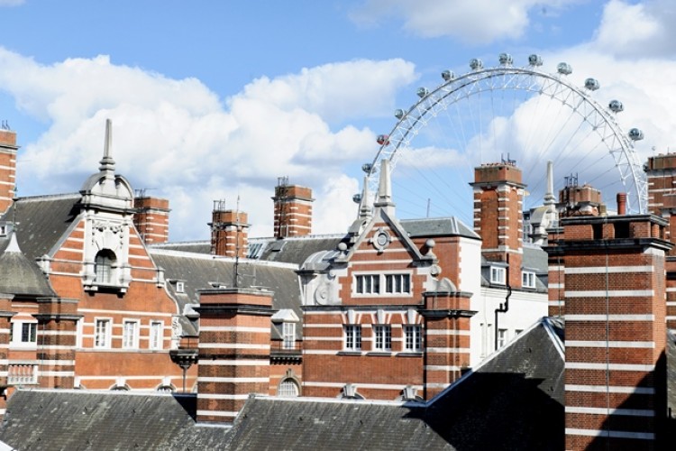 Photo of parliamentary estate &copy; UK Parliament/Jessica Taylor 
