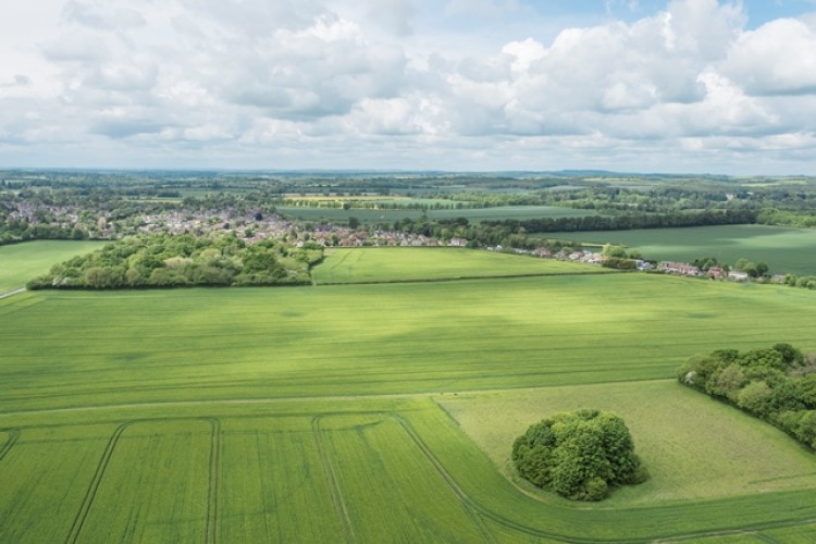 There are plans for 8,000 new homes to be built on this land