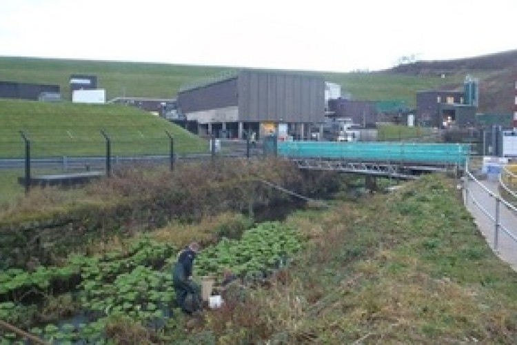 The polluted brook