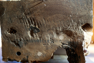 Sections from an oak sill beam from ta 17th-century timber frame that had been injected with timber treatmet chemicals.