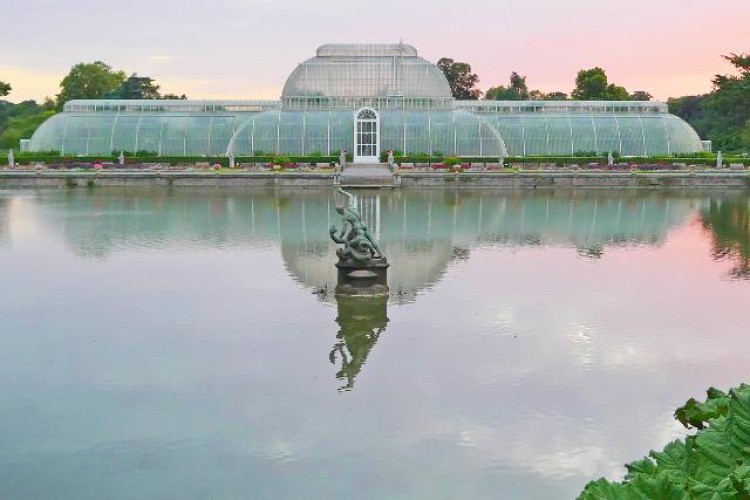 The Palm House at Kew Gardens