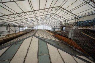 Restoration of The Orangery's roof has been funded by visitors' entrance fees Restoration of The Orangery's roof has been funded by visitors' entrance fees