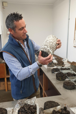 Bruce Spencer-Knott examines core samples at Lincolnshire County Council's materials laboratory