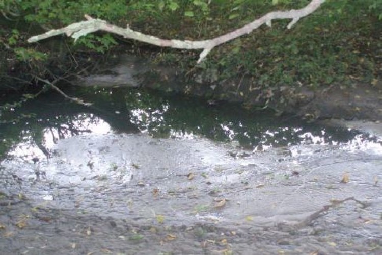 Sewage entered the River Shuttle