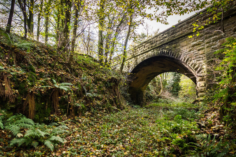 AlnwickBridge (&copy;The HRE Group), one of two bridges earmarked for infilling on the proposed route of the Alnwick Greenway