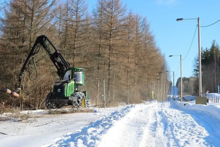 Work on the fence started with forest clearances earlier this week