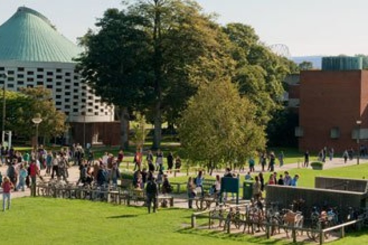 University of Sussex's Brighton campus