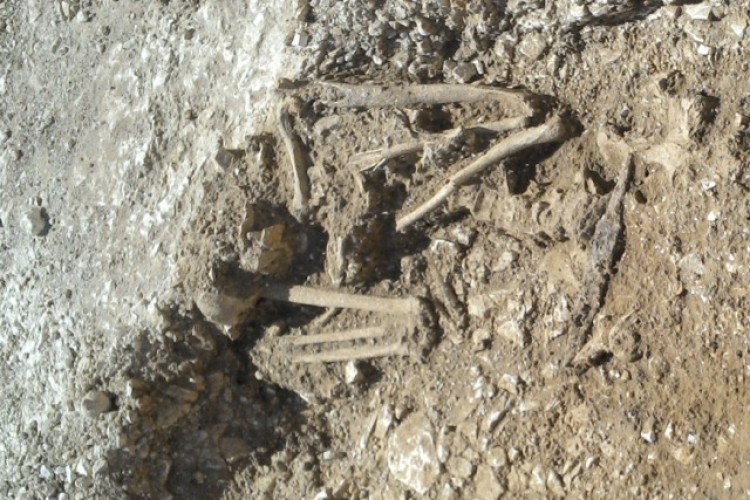 Six Saxon skeletons were uncovered