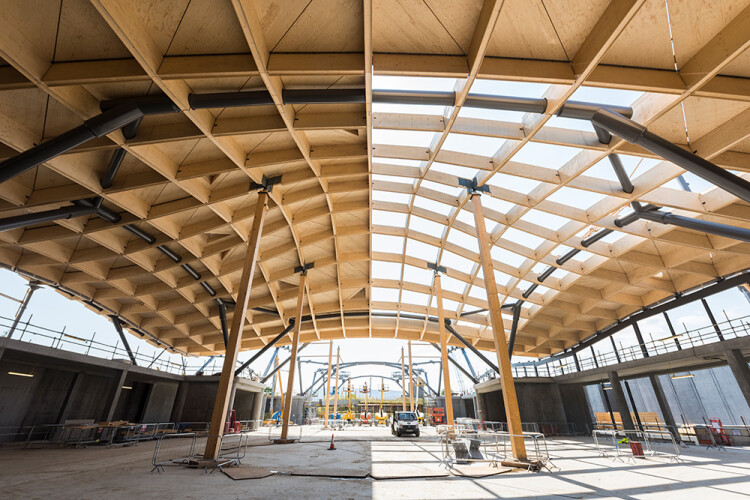 Engineered timber is often chosen for aesthetic, as well as structural, purposes such as this undulating roof over the new Macallan Distillery in Scotland