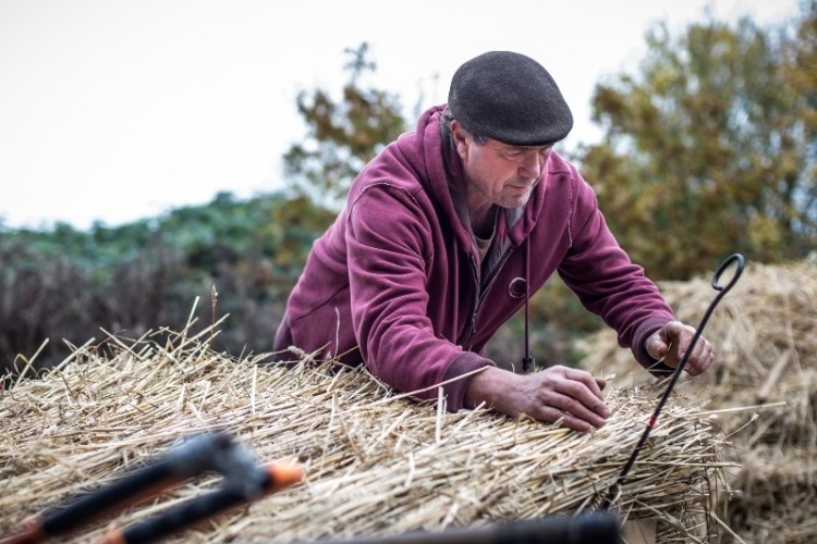 Master Thatcher of East Anglia Stephen Letch