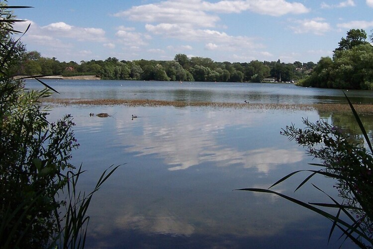 Aldenham Reservoir