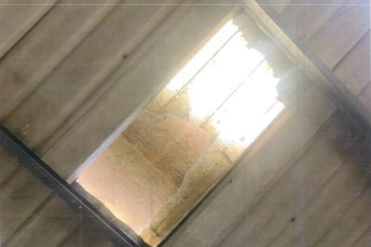 An employee fell through the skylight and broke their back