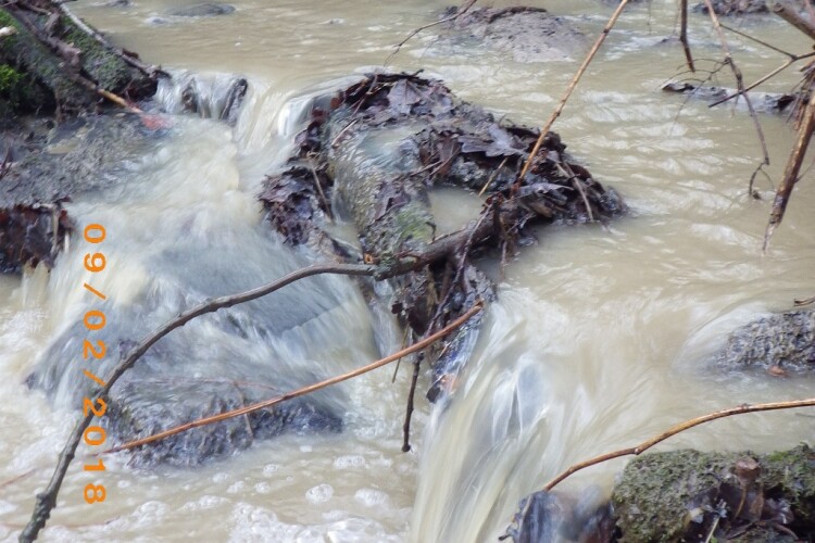 Images show the watercourse downstream of the discharge