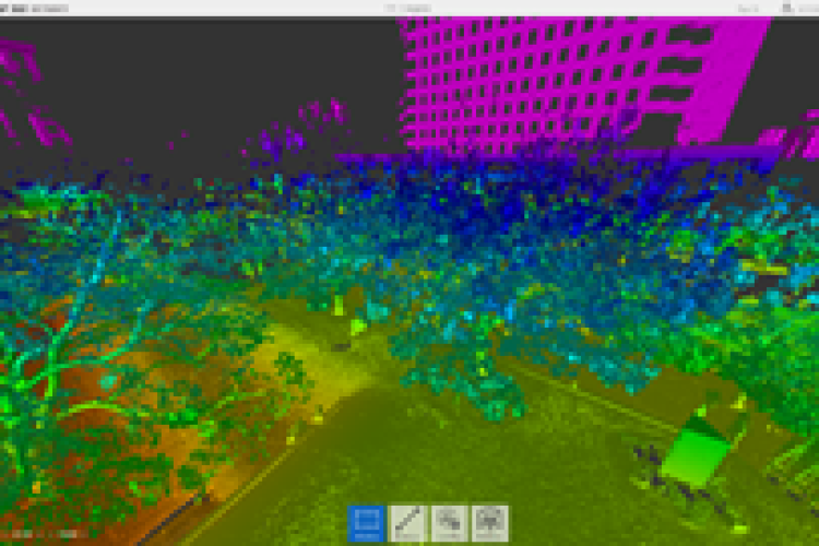 Laser scanning was used to avoid clashes with existing trees